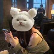 ヒメ日記 2026/02/18 23:53 投稿 りの あふたーすくーる