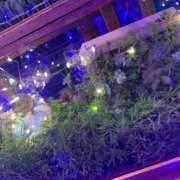 ヒメ日記 2026/02/15 16:50 投稿 久条じゅん ウルトラセレクション