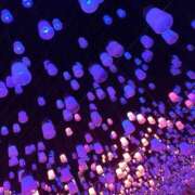 ヒメ日記 2026/04/03 19:40 投稿 久条じゅん ウルトラセレクション