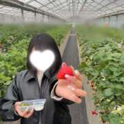 ヒメ日記 2026/03/25 21:34 投稿 愛沢せいら 川崎小町（川崎ハレ系）