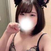 愛沢せいら 🌸イベント② 川崎小町（川崎ハレ系）
