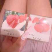 ヒメ日記 2026/03/14 10:23 投稿 あまえ Lolipop 横浜