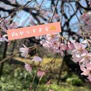 ヒメ日記 2026/03/22 09:38 投稿 優里奈/ゆりな 五反田アネージュ（ユメオト）