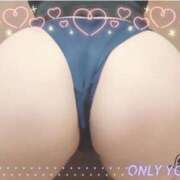 ヒメ日記 2026/02/20 19:08 投稿 うみ 沼津人妻花壇