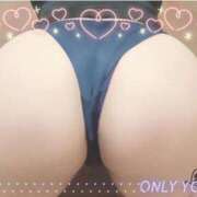 ヒメ日記 2026/03/23 09:28 投稿 うみ 沼津人妻花壇