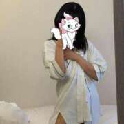 ねこ 初めまして‼️ The White