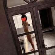 ねこ 出勤❣️ The White