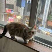 ヒメ日記 2026/10/16 10:06 投稿 ねこ The White（ザ ホワイト）
