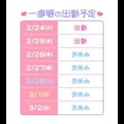 ヒメ日記 2026/02/24 11:12 投稿 わた ハピネス東京