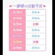 ヒメ日記 2026/03/03 22:27 投稿 わた ハピネス東京