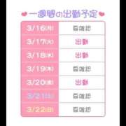 ヒメ日記 2026/03/16 15:59 投稿 わた ハピネス東京