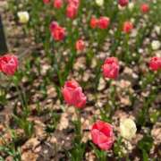 わた わた🐈‍⬛今日もありがとう♡ ハピネス東京