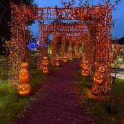 ヒメ日記 2026/10/06 14:17 投稿 わた ハピネス東京