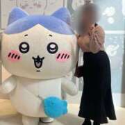 ひな 明日待ってます? 横浜シンデレラ（シンデレラグループ）