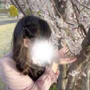 ヒメ日記 2026/03/29 22:38 投稿 れな ぽっちゃり巨乳専門店ちゃんこ八王子店