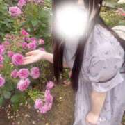 ヒメ日記 2026/04/03 12:05 投稿 れな ぽっちゃり巨乳専門店ちゃんこ八王子店