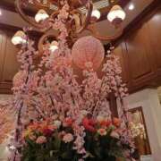 ヒメ日記 2026/03/31 14:50 投稿 森川 錦糸町おかあさん