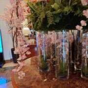 ヒメ日記 2026/04/03 11:50 投稿 森川 錦糸町おかあさん