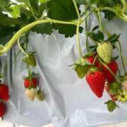 ありか お待たせしました🫶 渋谷じゃっくす