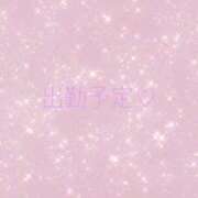 ヒメ日記 2026/02/24 14:20 投稿 せな ハニープラザ（ユメオト）