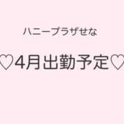 ヒメ日記 2026/03/17 20:50 投稿 せな ハニープラザ（ユメオト）