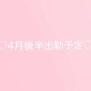 ヒメ日記 2026/04/14 19:00 投稿 せな ハニープラザ（ユメオト）