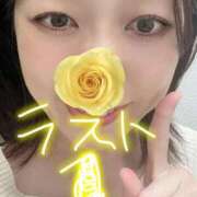 ヒメ日記 2026/04/05 20:06 投稿 桐山 昼顔妻 五反田店