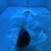 ヒメ日記 2026/04/13 06:07 投稿 きい プロフィール 岡山店