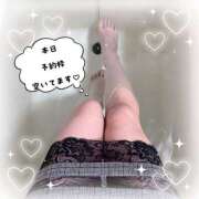 ヒメ日記 2026/04/02 07:54 投稿 あずさ ハピネス東京