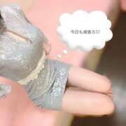 ヒメ日記 2026/04/09 07:17 投稿 あずさ ハピネス東京