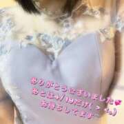 ヒメ日記 2026/04/17 20:37 投稿 あずさ ハピネス東京