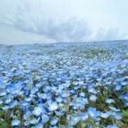 ヒメ日記 2026/05/09 11:17 投稿 あずさ ハピネス東京