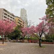 ヒメ日記 2026/02/27 23:46 投稿 藤森粧子 五十路マダムエクスプレス横浜店（カサブランカグループ）