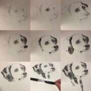 ヒメ日記 2026/03/10 17:52 投稿 藤森粧子 五十路マダムエクスプレス横浜店（カサブランカグループ）