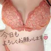 ヒメ日記 2026/02/17 10:46 投稿 蛍（ホタル） アバンチュール(五反田)