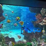 りりあ★男性経験1人純真美少女 ♡お友達とでーと♡ 渋谷S級素人清楚系デリヘル chloe