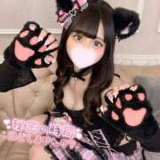 ヒメ日記 2026/02/17 12:03 投稿 うと 女の子がセルフで撮影する店！！成田デリヘル『生パネル』伝説