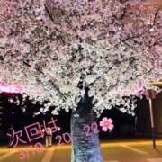 ヒメ日記 2026/03/09 00:31 投稿 ほのか 横浜人妻ヒットパレード（シンデレラグループ）