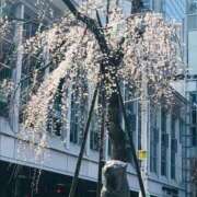 ヒメ日記 2026/03/22 00:02 投稿 ほのか 横浜人妻ヒットパレード（シンデレラグループ）