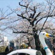 ヒメ日記 2026/03/30 10:17 投稿 ほのか 横浜人妻ヒットパレード（シンデレラグループ）