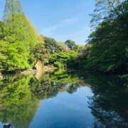 ヒメ日記 2026/04/13 09:35 投稿 ほのか 横浜人妻ヒットパレード（シンデレラグループ）