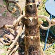 ヒメ日記 2026/04/20 09:02 投稿 ほのか 横浜人妻ヒットパレード（シンデレラグループ）