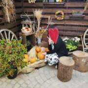 ヒメ日記 2026/02/25 12:18 投稿 広岡沙奈恵 五十路マダムエクスプレス船橋店(カサブランカグループ)