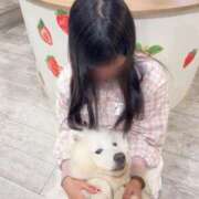 ヒメ日記 2026/02/28 16:17 投稿 しほ つまみぐいイケちゃいますよ！