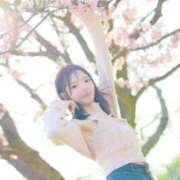 ヒメ日記 2026/03/29 16:30 投稿 ななせ JAPAN CLUB BUNNY LOUNGE