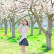 ヒメ日記 2026/04/08 08:00 投稿 ななせ JAPAN CLUB BUNNY LOUNGE