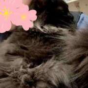 みつき 猫ちゃん宅様🐈‍⬛🌙 モアグループ大宮人妻花壇