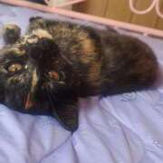 みつき 土曜日🐈‍⬛ モアグループ大宮人妻花壇