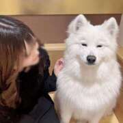 ヒメ日記 2026/02/22 10:22 投稿 しらたま 彼女コレクション