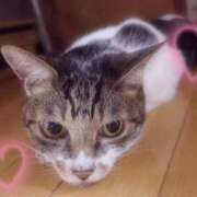 みらい 💞8/28💞ありがとうございました💞 フォーシーズン